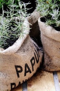 Hessian Bag Planter Pots