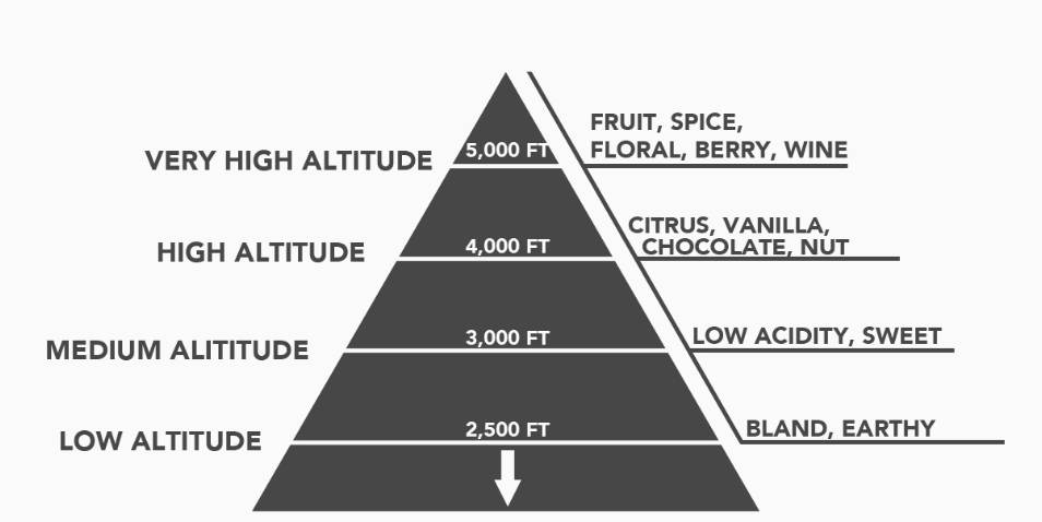 Altitude flavours