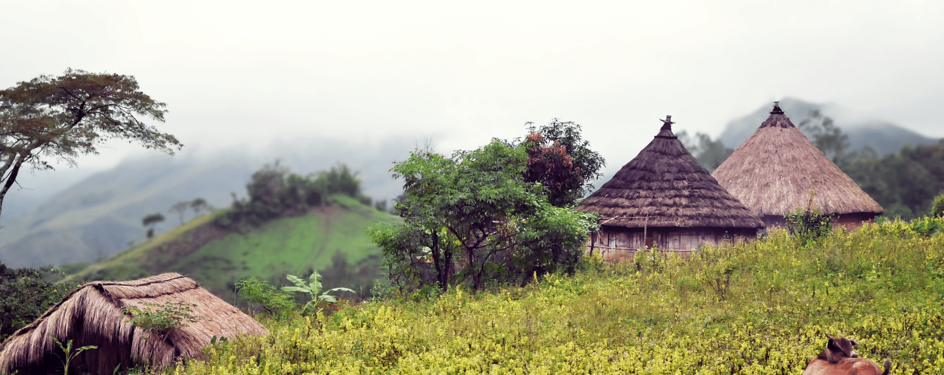 A village in Timor Leste